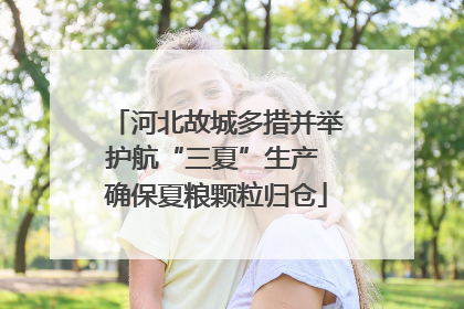 河北故城多措并举护航“三夏”生产 确保夏粮颗粒归仓