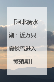 河北衡水湖：近万只夏候鸟进入繁殖期