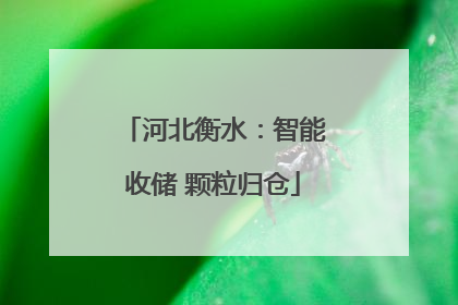 河北衡水：智能收储 颗粒归仓