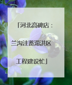 河北高碑店：兰沟洼蓄滞洪区工程建设忙