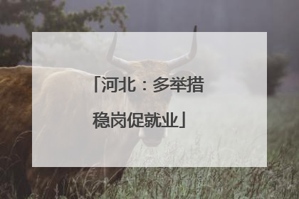 河北：多举措稳岗促就业