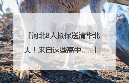 河北8人拟保送清华北大！来自这些高中……