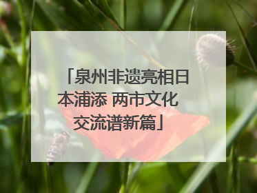泉州非遗亮相日本浦添 两市文化交流谱新篇