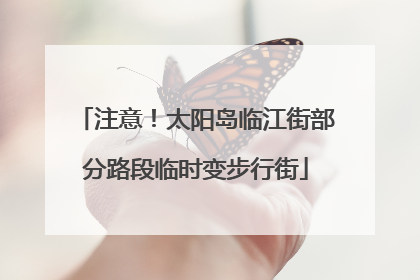 注意！太阳岛临江街部分路段临时变步行街