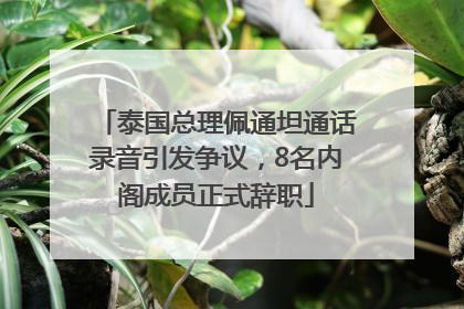 泰国总理佩通坦通话录音引发争议，8名内阁成员正式辞职