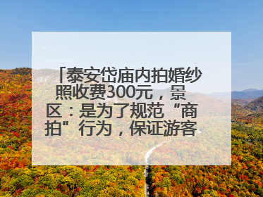 泰安岱庙内拍婚纱照收费300元，景区：是为了规范“商拍”行为，保证游客体验，收取费用全部上交国库