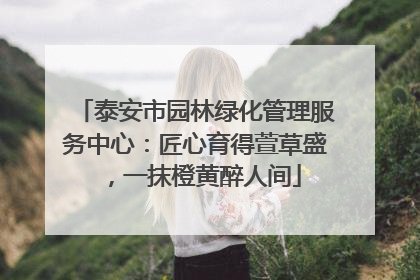 泰安市园林绿化管理服务中心：匠心育得萱草盛，一抹橙黄醉人间