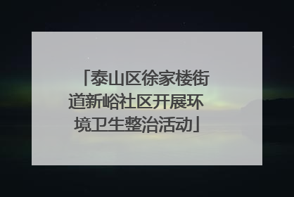 泰山区徐家楼街道新峪社区开展环境卫生整治活动