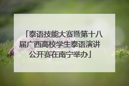 泰语技能大赛暨第十八届广西高校学生泰语演讲公开赛在南宁举办
