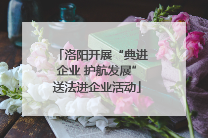 洛阳开展“典进企业 护航发展”送法进企业活动