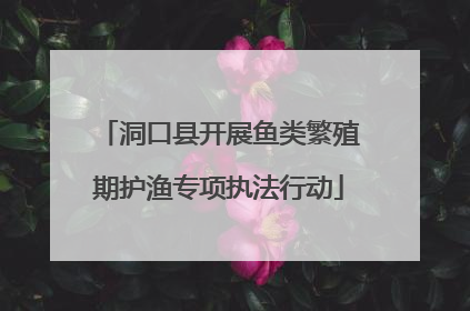 洞口县开展鱼类繁殖期护渔专项执法行动