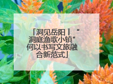 洞见岳阳丨“洞庭渔歌小镇”何以书写文旅融合新范式