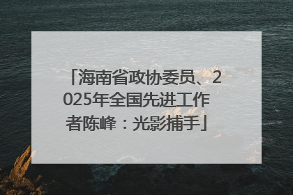 海南省政协委员、2025年全国先进工作者陈峰：光影捕手