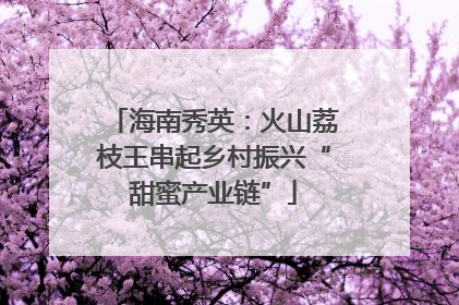 海南秀英：火山荔枝王串起乡村振兴“甜蜜产业链”