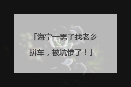 海宁一男子找老乡拼车，被坑惨了！