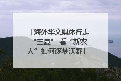 海外华文媒体行走“三夏” 看“新农人”如何逐梦沃野
