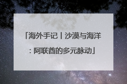海外手记丨沙漠与海洋：阿联酋的多元脉动