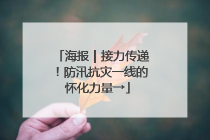 海报｜接力传递！防汛抗灾一线的怀化力量→