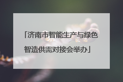 济南市智能生产与绿色智造供需对接会举办