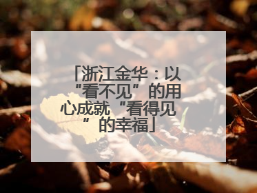 浙江金华：以“看不见”的用心成就“看得见”的幸福