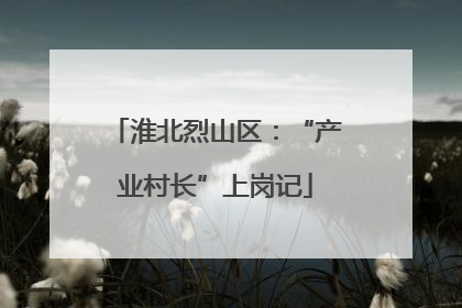 淮北烈山区：“产业村长”上岗记