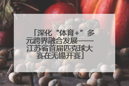 深化“体育+”多元跨界融合发展——江苏省首届匹克球大赛在无锡开赛