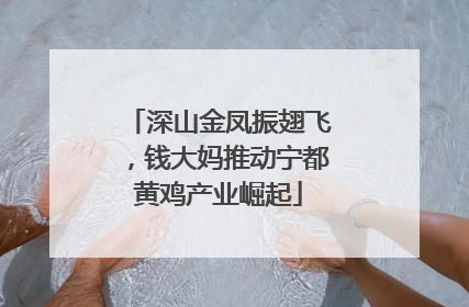 深山金凤振翅飞，钱大妈推动宁都黄鸡产业崛起