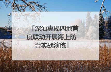 深汕惠揭四地首度联动开展海上防台实战演练