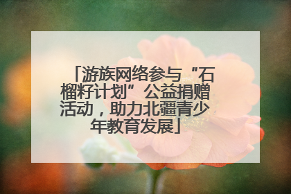 游族网络参与“石榴籽计划”公益捐赠活动，助力北疆青少年教育发展