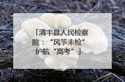 清丰县人民检察院：“风筝未检”护航“高考”