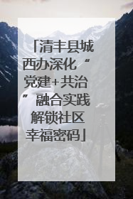 清丰县城西办深化“党建+共治”融合实践 解锁社区幸福密码