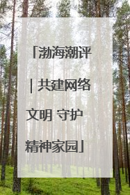 渤海潮评｜共建网络文明 守护精神家园