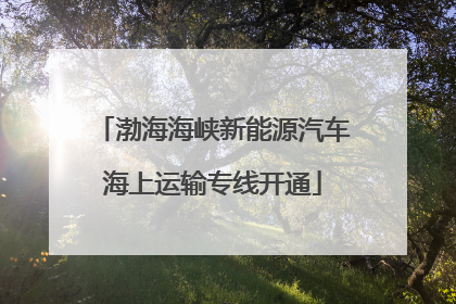 渤海海峡新能源汽车海上运输专线开通