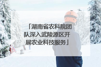 湖南省农科院团队深入武陵源区开展农业科技服务