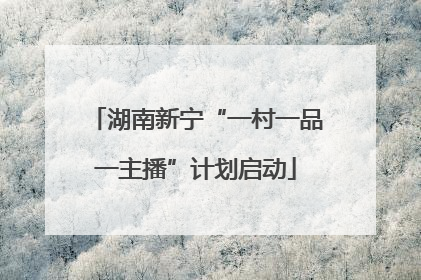 湖南新宁“一村一品一主播”计划启动