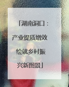湖南洞口：产业提质增效 绘就乡村振兴新图景