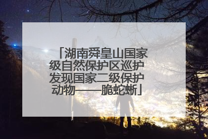 湖南舜皇山国家级自然保护区巡护发现国家二级保护动物——脆蛇蜥