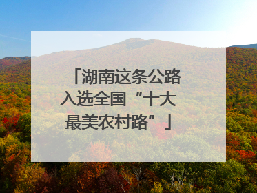 湖南这条公路入选全国“十大最美农村路”