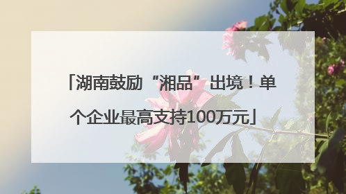 湖南鼓励“湘品”出境！单个企业最高支持100万元