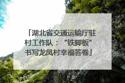 湖北省交通运输厅驻村工作队：“铁脚板”书写龙凤村幸福答卷