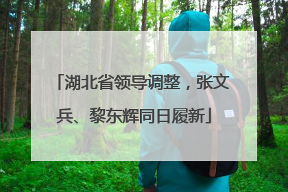 湖北省领导调整，张文兵、黎东辉同日履新
