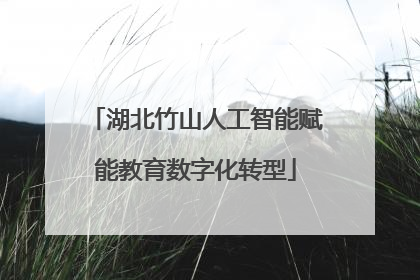 湖北竹山人工智能赋能教育数字化转型