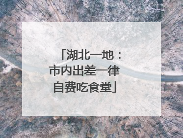 湖北一地：市内出差一律自费吃食堂