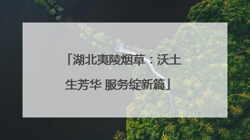 湖北夷陵烟草：沃土生芳华 服务绽新篇