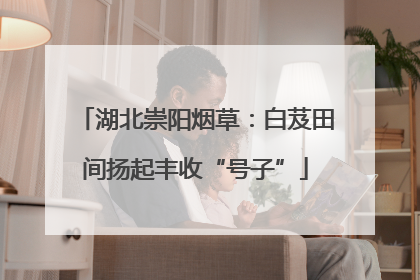 湖北崇阳烟草：白芨田间扬起丰收“号子”
