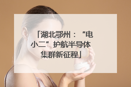 湖北鄂州：“电小二”护航半导体集群新征程