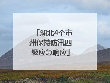 湖北4个市州保持防汛四级应急响应