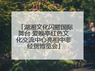 湖湘文化闪耀国际舞台 爱晚亭红色文化交流中心亮相中非经贸博览会