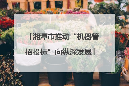 湘潭市推动“机器管招投标”向纵深发展