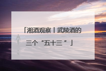 湘酒观察丨武陵酒的三个“五十三 ”